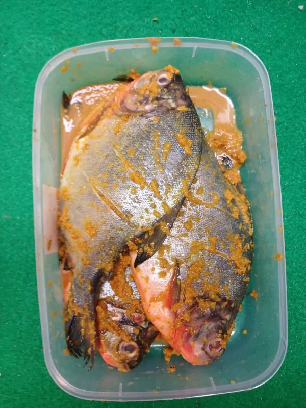Bawal Marinasi
